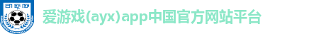 爱游戏网页版官方入口